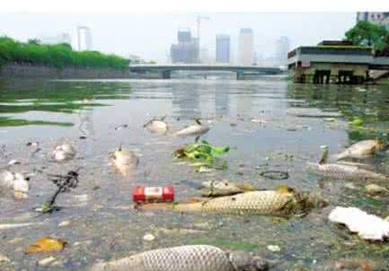 國(guó)務(wù)院檢查組暗訪(fǎng)核查佛山一農(nóng)村河涌黑臭十余年無(wú)人管理