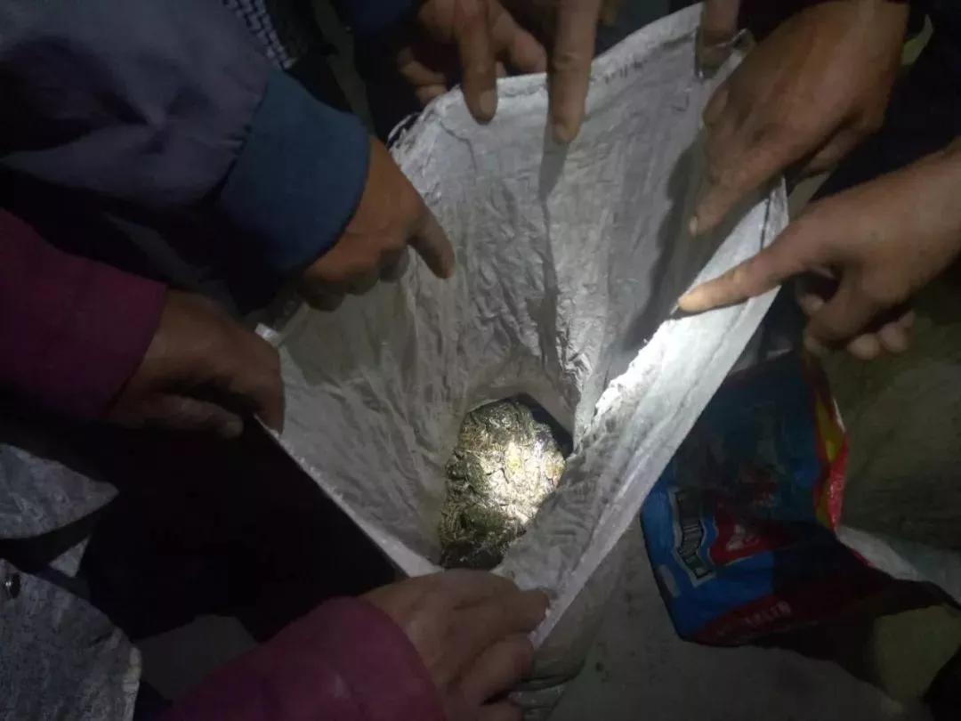  “啥？抓幾個青蛙還犯法？”或許西寧環(huán)保驗收公司