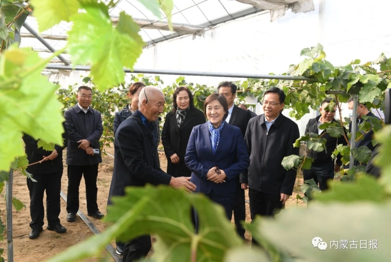 內(nèi)蒙古自治區(qū)主席：全力做好大氣污染聯(lián)防聯(lián)控聯(lián)治工作 確?！八{(lán)天保衛(wèi)戰(zhàn)”圓滿收官青海水土保持代辦公司