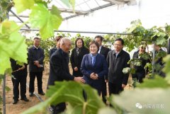 內(nèi)蒙古自治區(qū)主席：全力做好大氣污染聯(lián)防聯(lián)控聯(lián)治工作 確?！八{(lán)天保衛(wèi)戰(zhàn)”圓滿收官青海水土保持代辦公司