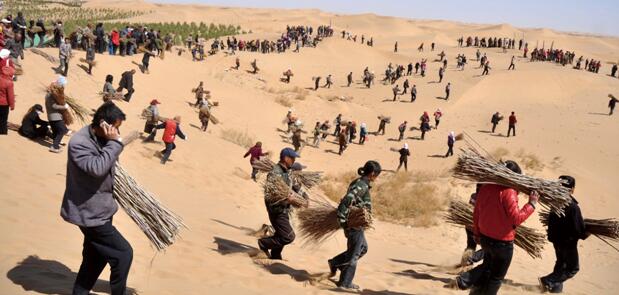 庫布其植樹節(jié)將舉行“治沙碳中和 保護(hù)母親河 ”紀(jì)念活動西寧水土保持代辦公司