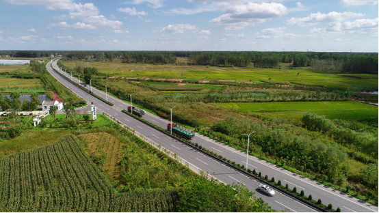 江蘇省濱?？h界牌鎮(zhèn)集中整治主干道沿線環(huán)境西寧水土保持